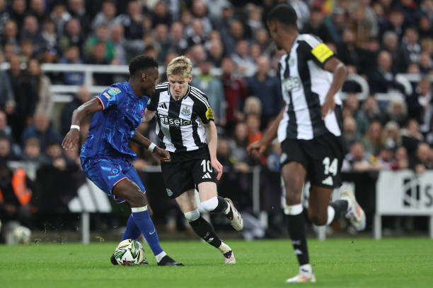 界展示网球 界展示网球